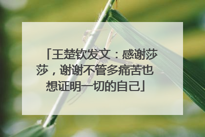 王楚钦发文：感谢莎莎，谢谢不管多痛苦也想证明一切的自己