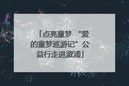 点亮童梦 “爱的童梦巡游记”公益行走进溆浦