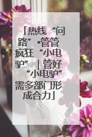 热线“问路”•管管疯狂“小电驴”｜管好“小电驴”需多部门形成合力