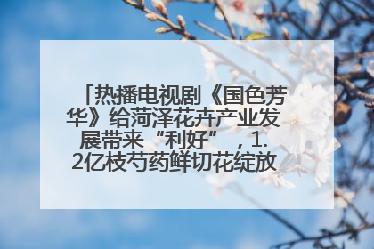 热播电视剧《国色芳华》给菏泽花卉产业发展带来“利好”，1.2亿枝芍药鲜切花绽放“国色芳华”