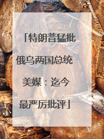特朗普猛批俄乌两国总统 美媒：迄今最严厉批评