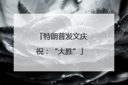 特朗普发文庆祝：“大胜”