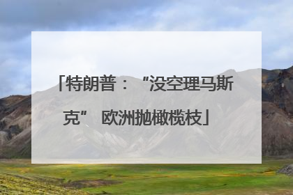 特朗普：“没空理马斯克” 欧洲抛橄榄枝