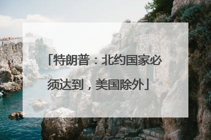 特朗普：北约国家必须达到，美国除外