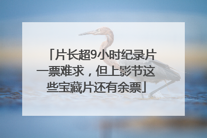 片长超9小时纪录片一票难求，但上影节这些宝藏片还有余票