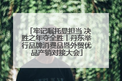 牢记嘱托显担当 决胜之年夺全胜丨丹东举行品牌消费品暨外贸优品产销对接大会