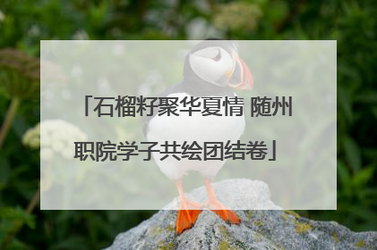 石榴籽聚华夏情 随州职院学子共绘团结卷