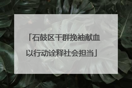石鼓区干群挽袖献血 以行动诠释社会担当