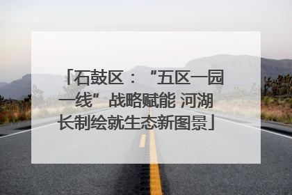 石鼓区：“五区一园一线”战略赋能 河湖长制绘就生态新图景
