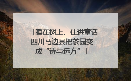 睡在树上、住进童话 四川马边县把茶园变成“诗与远方”
