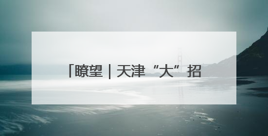 瞭望｜天津“大”招打造“双循环支点”