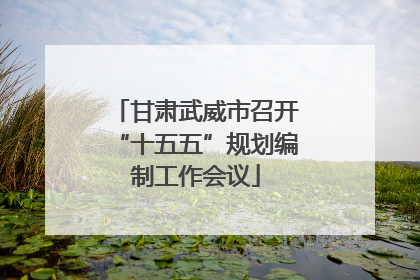甘肃武威市召开“十五五”规划编制工作会议