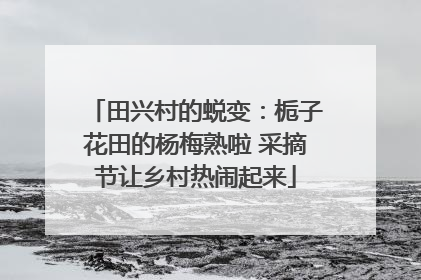 田兴村的蜕变：栀子花田的杨梅熟啦 采摘节让乡村热闹起来