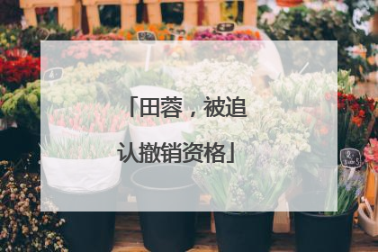 田蓉，被追认撤销资格