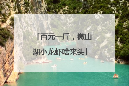 百元一斤，微山湖小龙虾啥来头