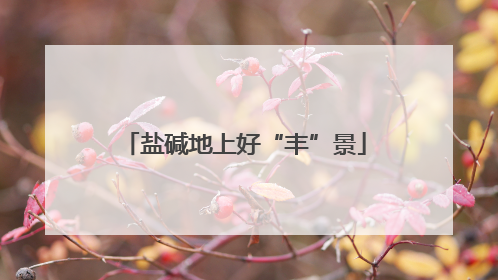 盐碱地上好“丰”景