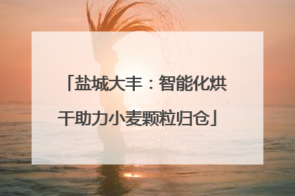 盐城大丰：智能化烘干助力小麦颗粒归仓