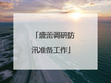 盛蕾调研防汛准备工作