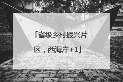 省级乡村振兴片区，西海岸+1