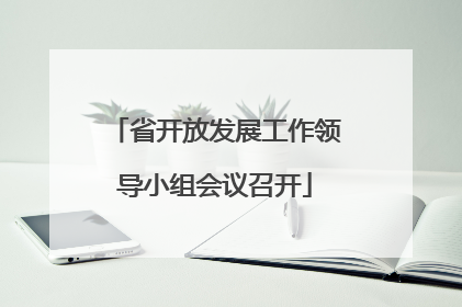 省开放发展工作领导小组会议召开