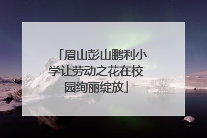 眉山彭山鹏利小学让劳动之花在校园绚丽绽放