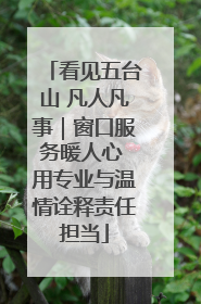 看见五台山 凡人凡事｜窗口服务暖人心 用专业与温情诠释责任担当