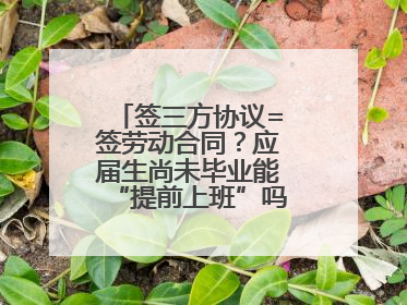 签三方协议=签劳动合同？应届生尚未毕业能“提前上班”吗？法院指出