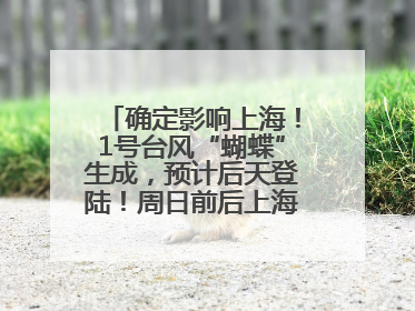 确定影响上海！1号台风“蝴蝶”生成，预计后天登陆！周日前后上海有明显降水