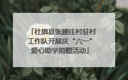 社旗县张腰庄村驻村工作队开展庆“六一”爱心助学捐赠活动