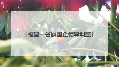 福建一省属国企领导调整
