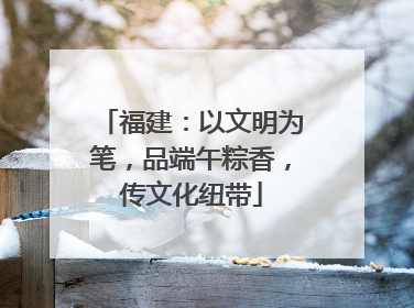 福建：以文明为笔，品端午粽香，传文化纽带