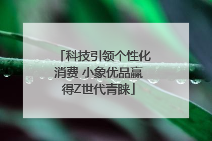 科技引领个性化消费 小象优品赢得Z世代青睐