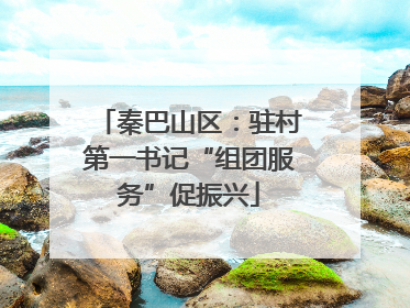 秦巴山区：驻村第一书记“组团服务”促振兴