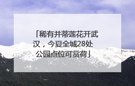 稀有并蒂莲花开武汉，今夏全城28处公园点位可赏荷