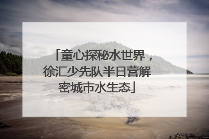 童心探秘水世界，徐汇少先队半日营解密城市水生态