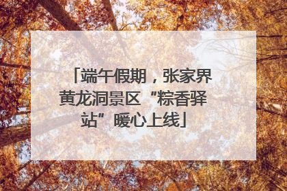 端午假期，张家界黄龙洞景区“粽香驿站”暖心上线