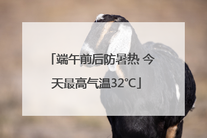端午前后防暑热 今天最高气温32℃