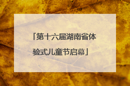 第十六届湖南省体验式儿童节启幕
