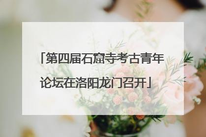第四届石窟寺考古青年论坛在洛阳龙门召开