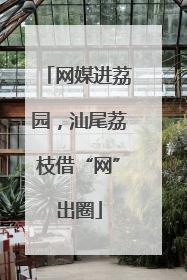 网媒进荔园，汕尾荔枝借“网”出圈
