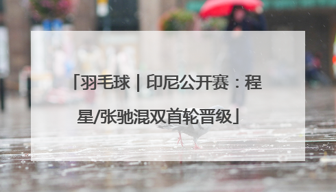 羽毛球｜印尼公开赛：程星/张驰混双首轮晋级