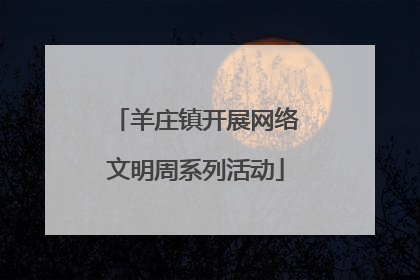 羊庄镇开展网络文明周系列活动