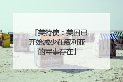 美特使：美国已开始减少在叙利亚的军事存在