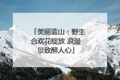 美丽蓝山：野生合欢花绽放 浪漫景致醉人心