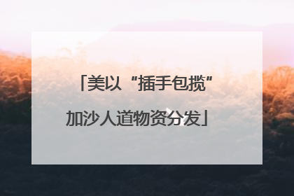 美以“插手包揽”加沙人道物资分发