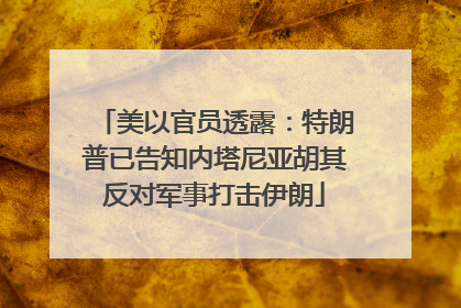 美以官员透露：特朗普已告知内塔尼亚胡其反对军事打击伊朗