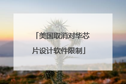 美国取消对华芯片设计软件限制