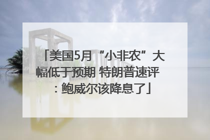 美国5月“小非农”大幅低于预期 特朗普速评：鲍威尔该降息了