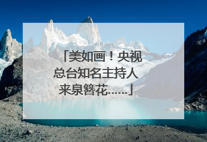 美如画！央视总台知名主持人来泉簪花……