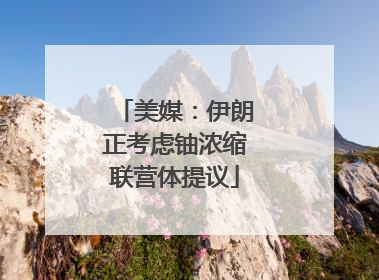 美媒：伊朗正考虑铀浓缩联营体提议